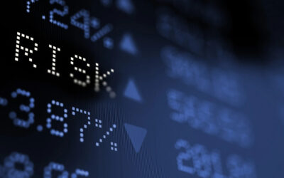 Should You Invest in Risk?