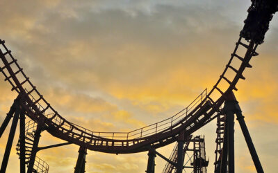 The Gravity of Risk